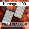 Kamagra 100 17